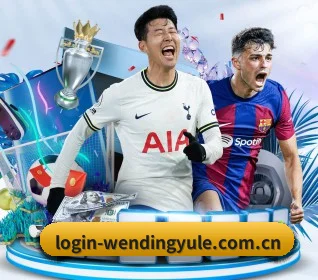 问鼎娱乐网站 APP(Wending Entertainment)